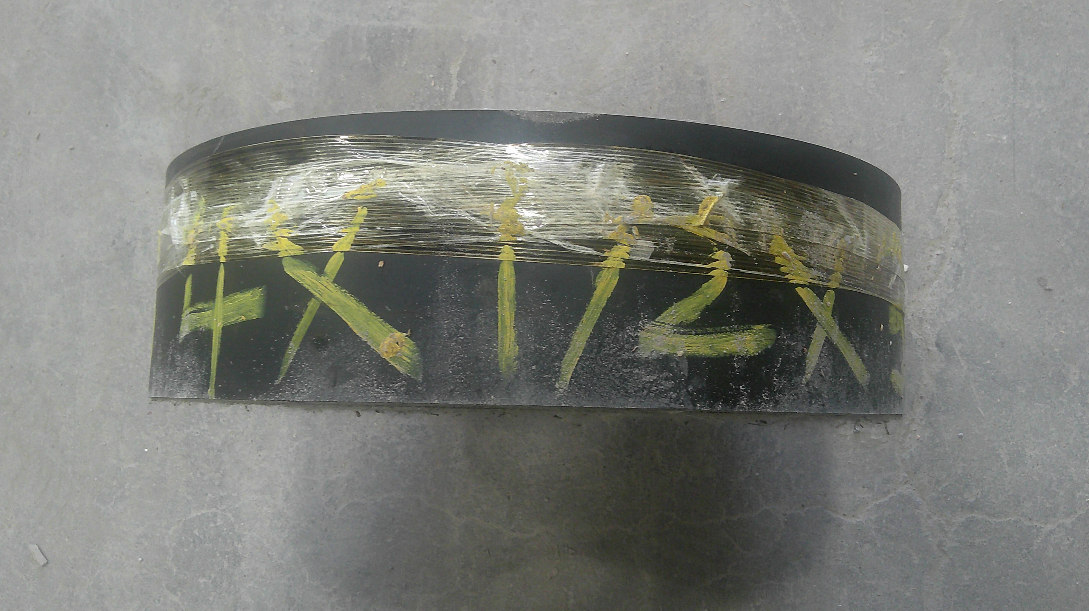 Used Conveyor Belting