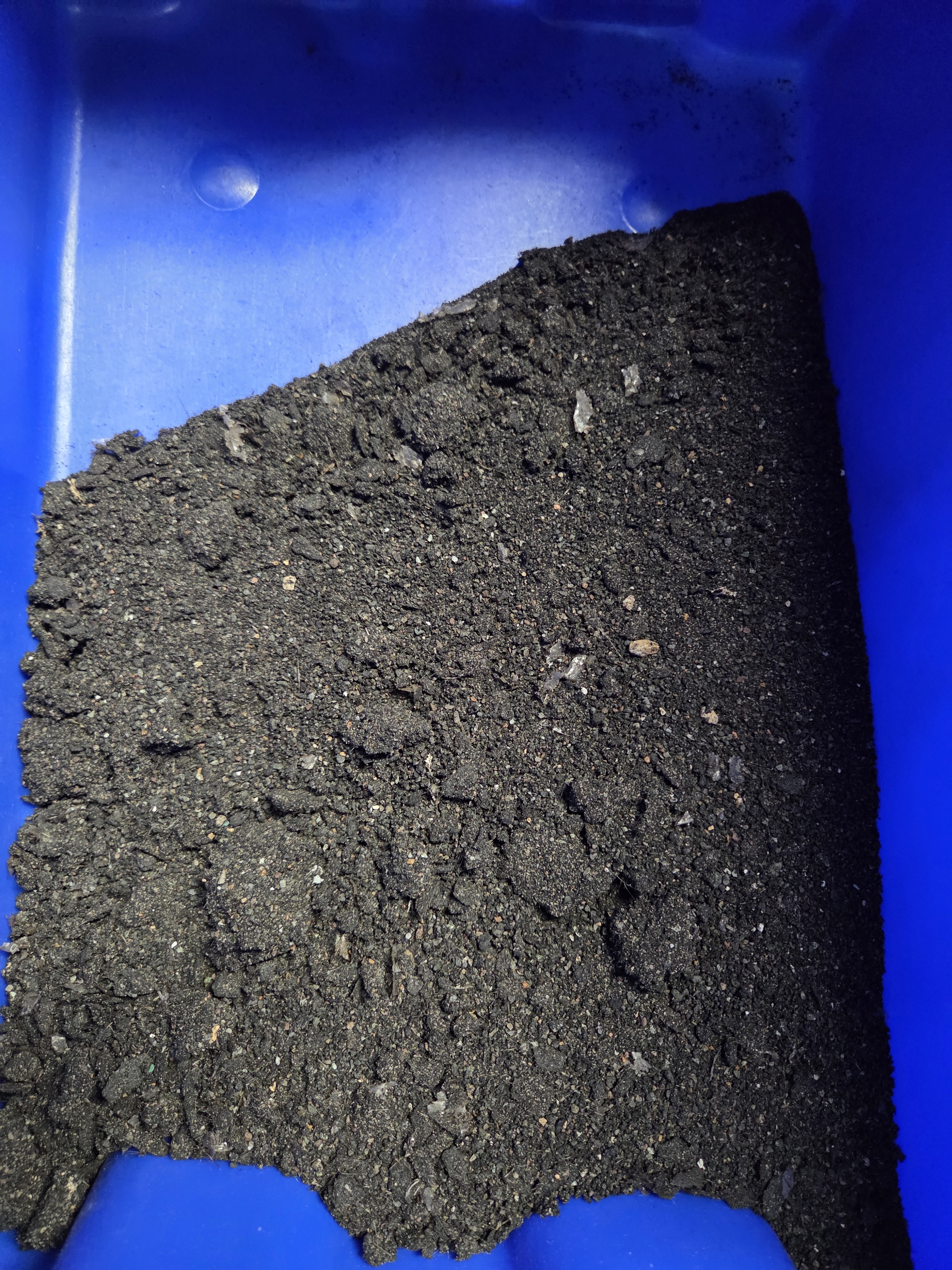 Ground Asphalt Singles