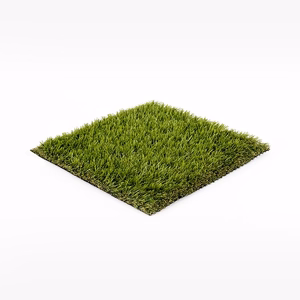Unused Turf
