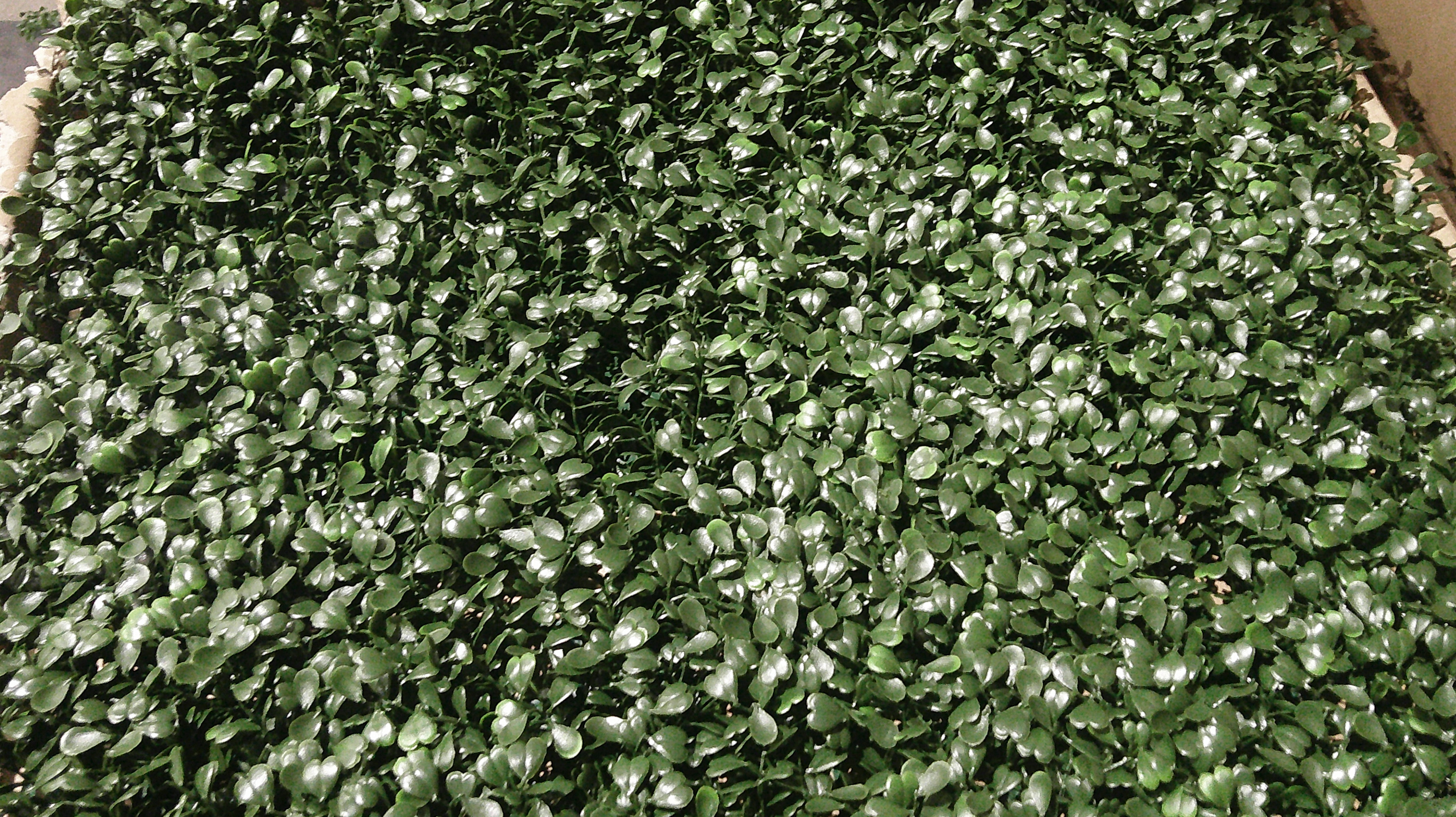 Artificial Greenery Panels