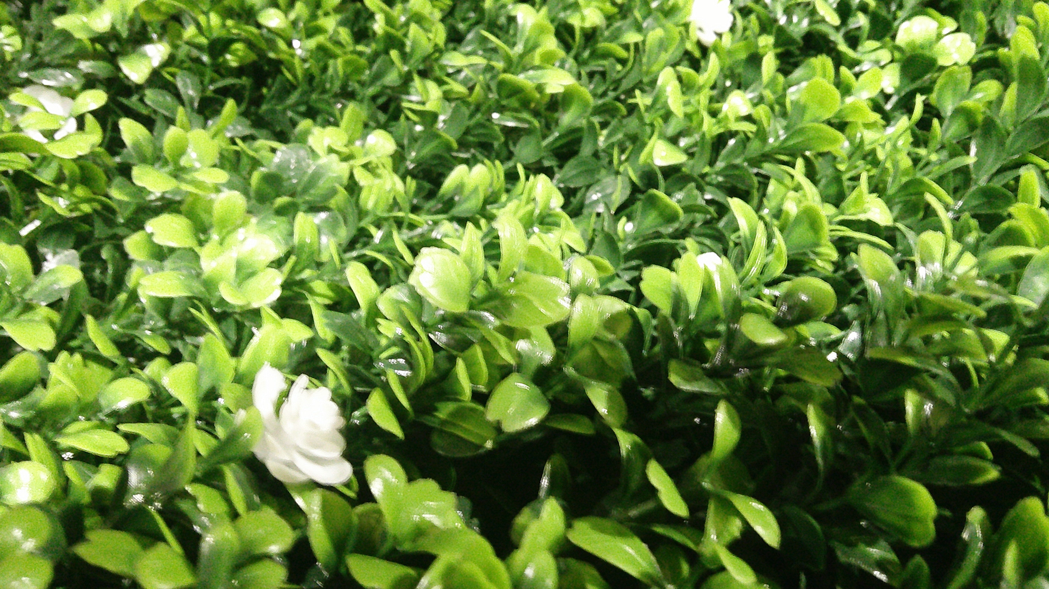 Artificial Greenery Panels