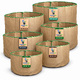 Planter Pots