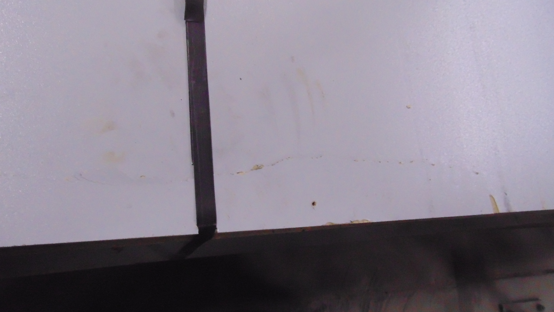 Engineered Tongue and Groove Panels