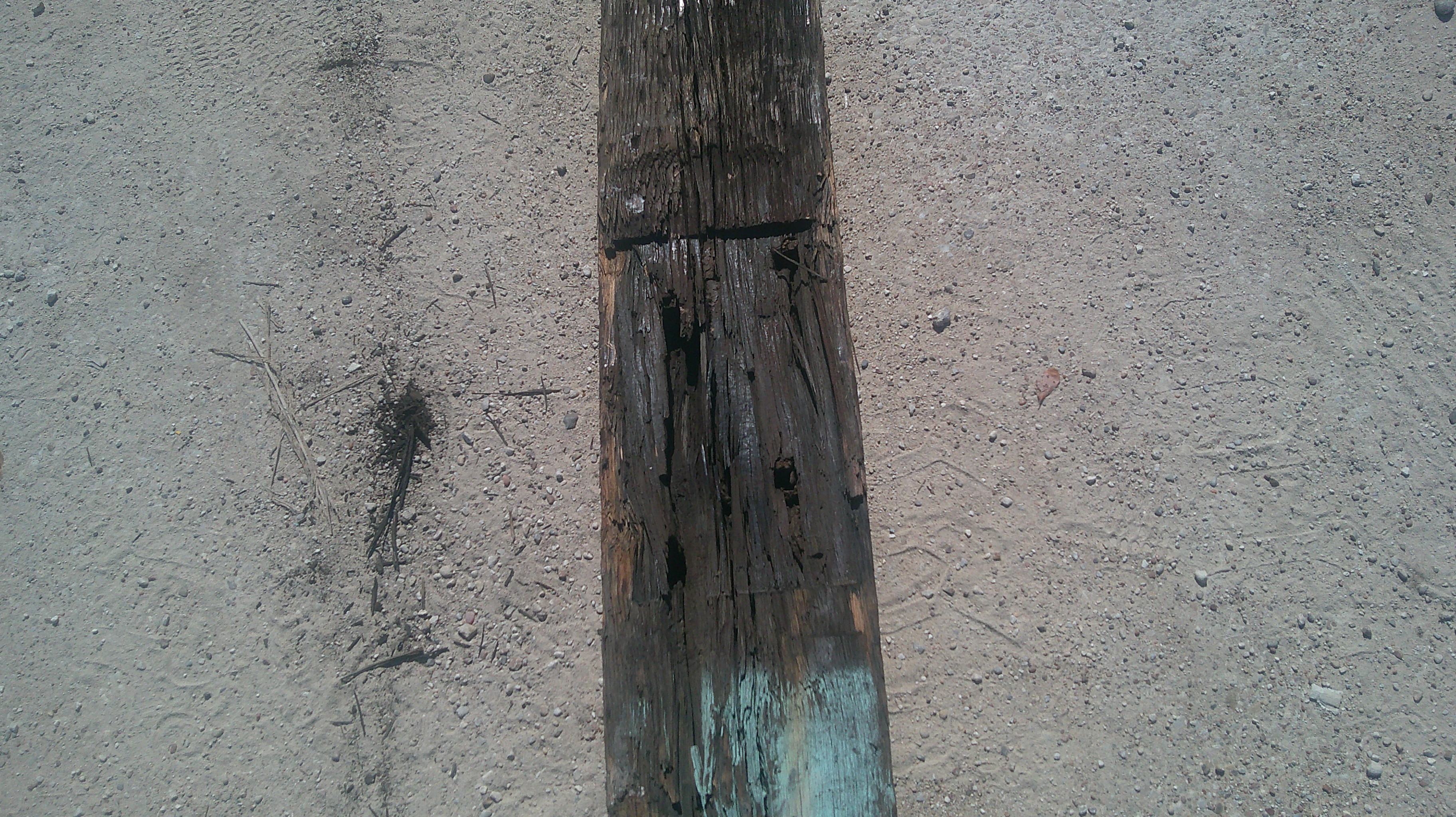 Wood Railroad Ties